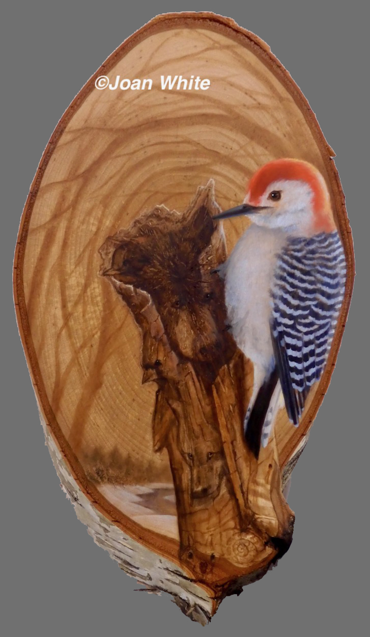 Woodpecker's Perch